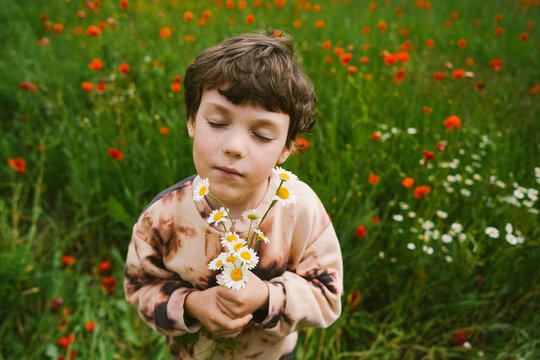 Сurly haired boy holding wild daisies