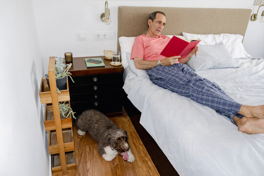 Senior man reading in bed while curly dog rests nearby