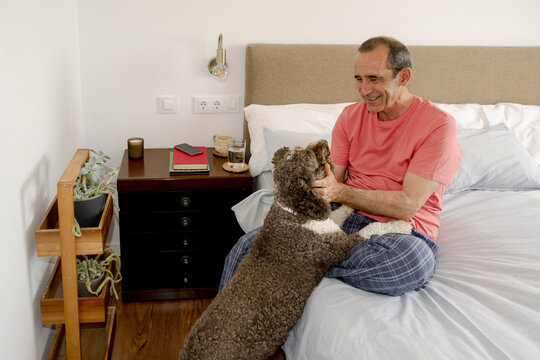Senior man playing affectionately with curly dog on bed at home
