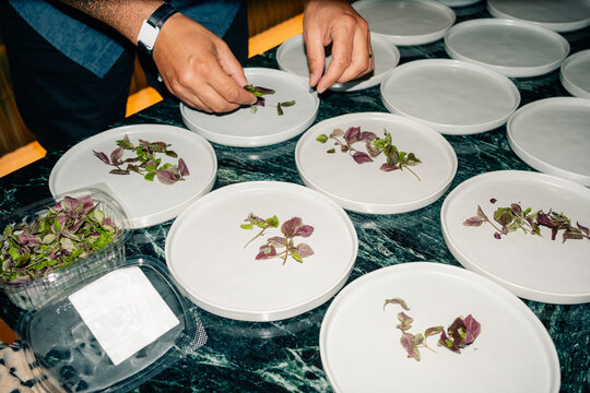 Working With Herbs in a Kitchen Setting During Daylight Hours