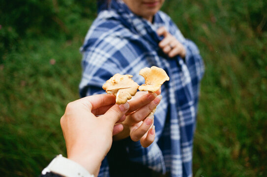 Person Holds Mushrooms While Another Person Stands Nearby