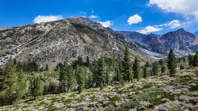 A view of the Big Pine Creek along the Big Pine Trail showing glacial trail in the mountains in the John Muir National Wilderness with the glacial terrain and mountains showing the trail.