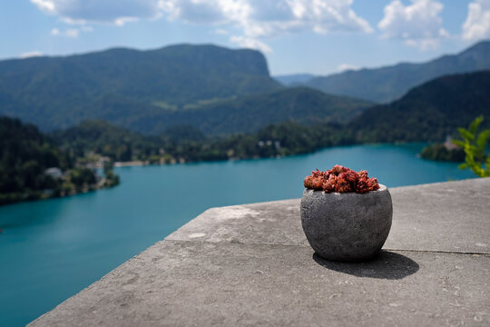 Succulent plant in a stone pot in front of Lake Bled in Slovenia