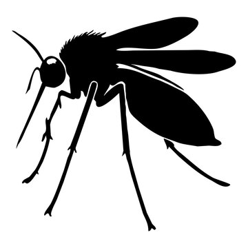 Simple black mosquito insect shape as an icon. Isolated on transparent background.