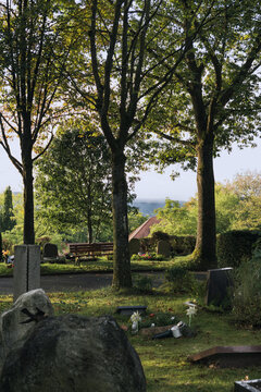 Waldpark Friedhof mit B&auml;umen und Wiese mit Fernblick im September