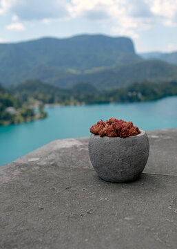 Succulent plant in a stone pot in front of Lake Bled in Slovenia