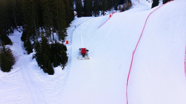 Red snow groomer working on a ski slope, Pamporovo, Bulgaria. Tracked vehicle smooths fresh snow beside spruce forest, with red safety netting and a snow cannon on the slope edge.