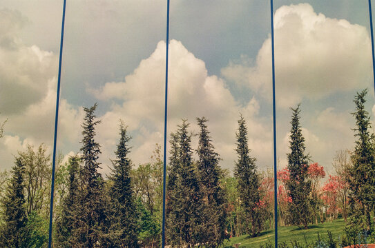 Mirror Reflections