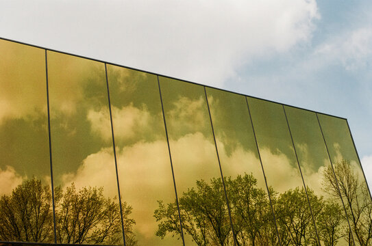 Mirror Reflections