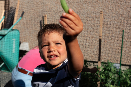 Candid child holding a pea pod in a sunny backyard garden