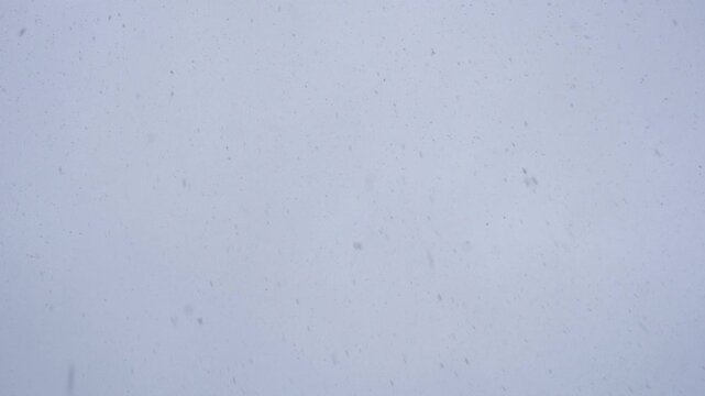 A view from below of the sky, from which snow is falling. A light blue winter sky with falling snowflakes. The snowflakes are visible as dark dots against the light background.
