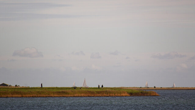 Radeln an der Schlei