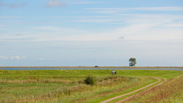 Radeln an der Schlei