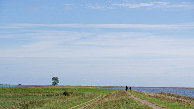 Schlei