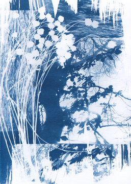 Layered Botanical Cyanotype with Dense Streaks