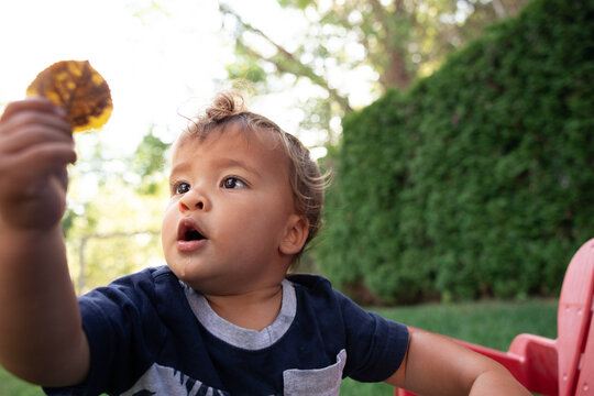 Curious toddler holding a leaf outside showing wonder