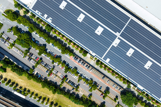 tree-lined parking lot beside solar rooftop factory