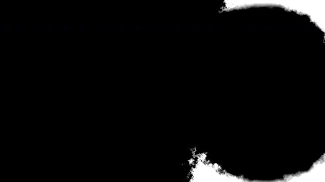Black Ink Blots Spreading and Bleeding on White Background for Abstract Transition Matte