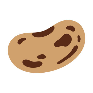 Single brown kidney bean illustration with dark spots Vector