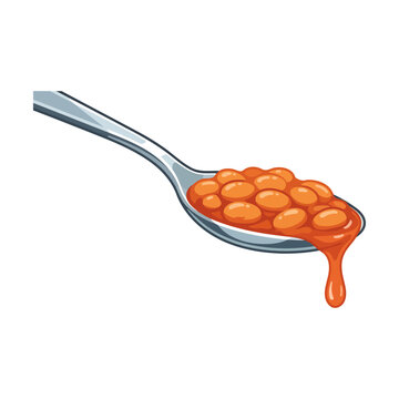 A metal silver spoon filled with tasty baked beans in a thick red tomato sauce Vector