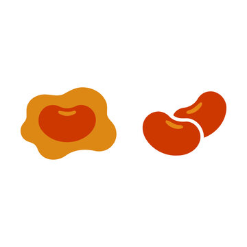 Orange and red kidney beans vector illustration for healthy food and cooking design Vector