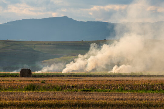 Burning Straw Stubble Producing Smoke and Air Pollution. Burning straw stubble in an agricultural field after harvest, producing thick smoke and air pollution during autumn field clearing.