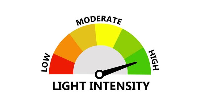 Light Intensity Photometer Gauge Animation Monitoring Lumens Brightness and Solar Radiation Status Low to High