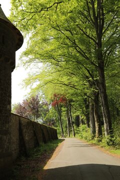 A serene country road winding past a historic stone wall and lush green trees in the countryside
