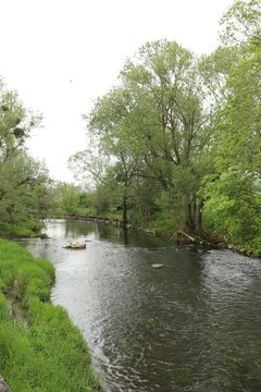 A winding stream flows through the lush green countryside of the Belgian landscape in spring