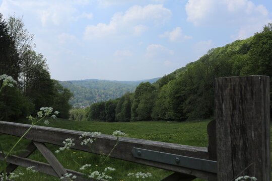 Rustic wooden fence overlooking a lush green valley in the Belgian countryside during spring