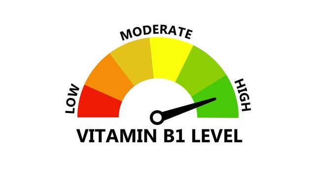 Vitamin B1 Level Gauge Meter Motion Graphic Tracking Thiamine Concentration and Energy Metabolism Status Low to High