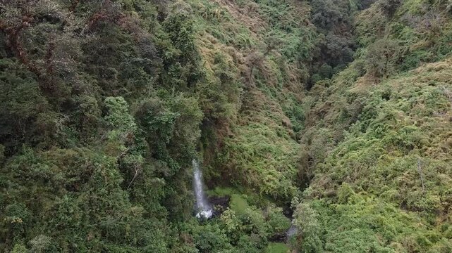 Aerial view of waterfall in lush mountain cloud forest