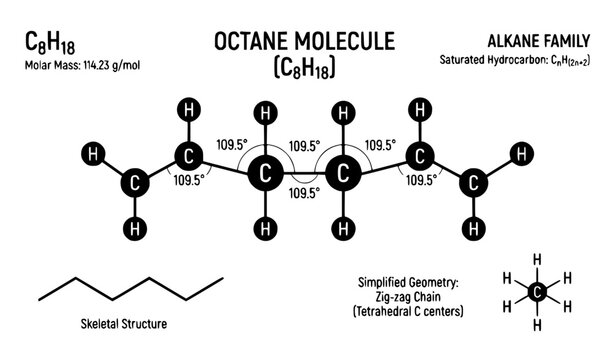 Octane C8H18 Molecule Stick Model Scientific Infographic Vector