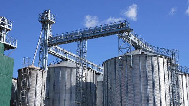 Grain Bins With  Loading Tower. View From Bottom to top. Grain dryer complex. Granary. Metal grain elevator in agricultural zone. Agricultural silos against blue sky

