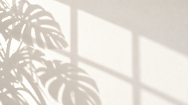 Ombre combin&eacute;e de monstera et cadre de fen&ecirc;tre sur mur blanc uni en lumi&egrave;re du jour, overlay pour mockup produit, mode fusion, fond studio