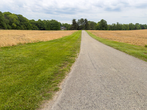 Long paved lane leads straight toward a distant brick colonial home, flanked by golden fields and green grass under a cloudy sky