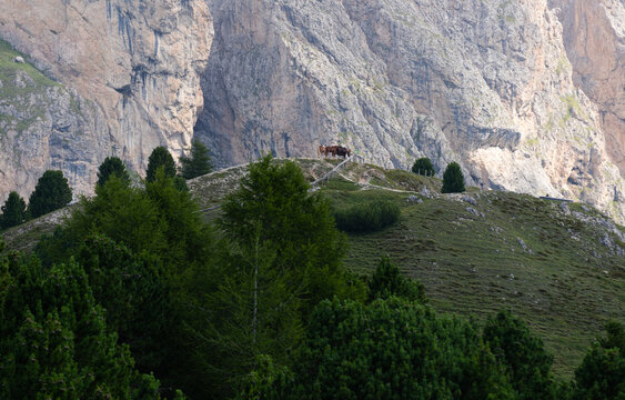 Panoramic view of the mountain. Italian Dolomites. Alpe di Cisles, Seceda Ridgeline, Dolomiti , Pieralongia, Col Raiser