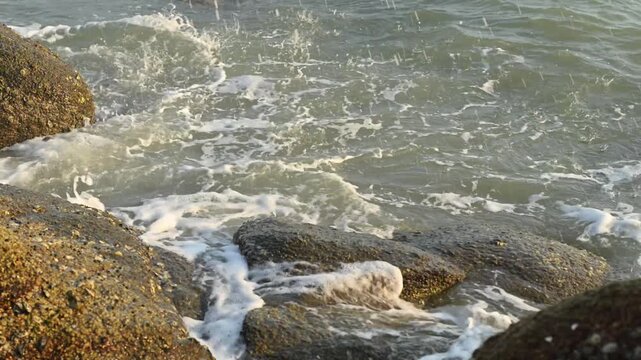 Ocean waves lapping between dark barnacle covered rocks at the shoreline with golden light reflecting on rippling water