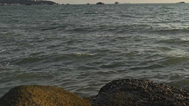 Ocean waves lapping between dark barnacle covered rocks at the shoreline with golden light reflecting on rippling water