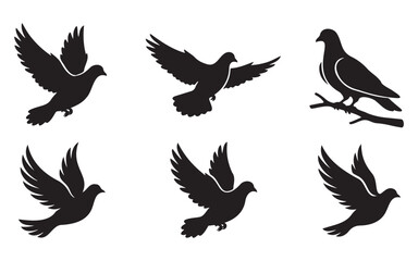 Fototapeta premium Set of six flying and perched dove silhouettes in black with dove silhouette