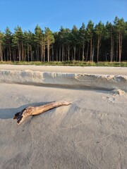 Polska plaża i widok na drzewa wpasie nadmorskim © Robert