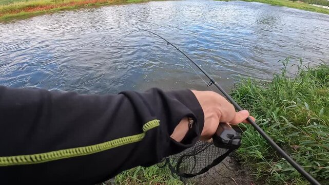 POV of fisherman netting a caught fish by the riverbank. Landing net in water. Successful freshwater sport fishing and angling equipment.