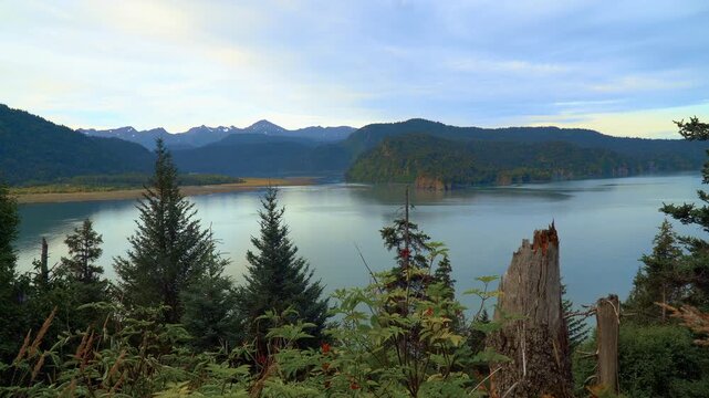 Scenic Halibut Cove Surrounded by Forest and Mountains in Kachemak Bay, Alaska