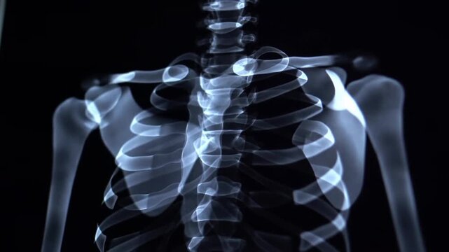 Panning shot of human skeleton ribcage rotating slowly in medical x ray laboratory with dark clinical background for diagnostic study