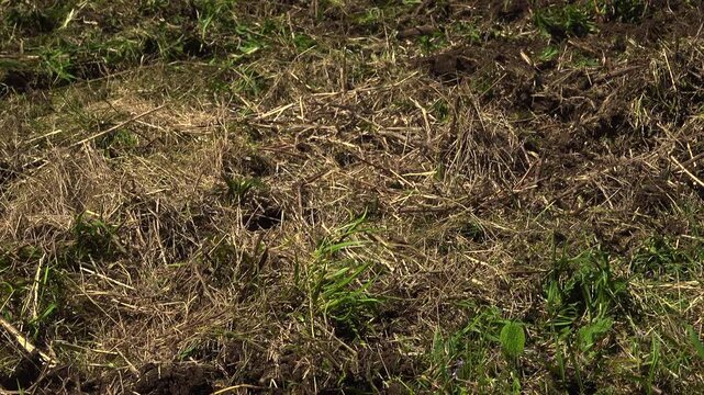 An extreme close-up shot shows a disc harrow attachment driving past the camera, churning up dark soil and green grass during a spring day.