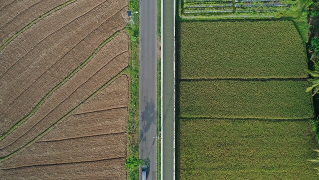 Aerial view of the historic Buk Renteng irrigation canal structure separating lush green rice paddies from dry agricultural fields in Kecamatan Tempel, Daerah Istimewa Yogya, Indonesia.