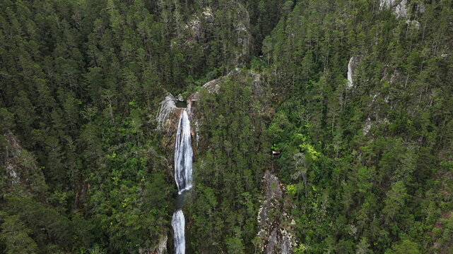 Aerial view of Salto de Aguas Blancas waterfall cascading through a dense pine forest in the mountains of Constanza, La Vega Province, Dominican Republic.