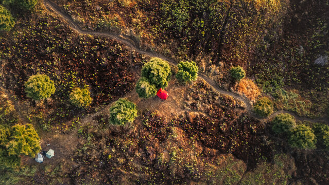 Aerial view of Sunrise Camp Gunung Prau featuring a red tent and a smaller tent nestled among trees on a rugged hillside with a winding trail in Kecamatan Kejajar, Jawa Tengah, Indonesia.