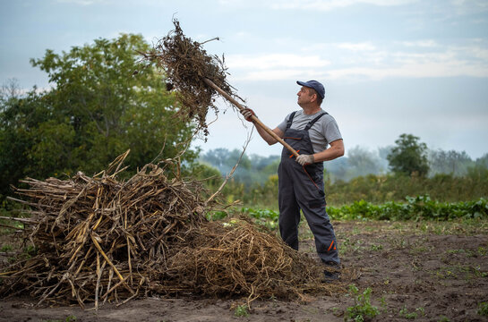 Farmer lifts dried crop residue with pitchfork beside compost pile. Man in work overalls stands on muddy field, gathering plant waste under cloudy sky with focused, determined expression.