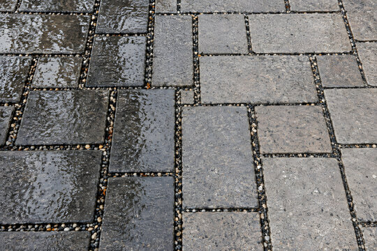Wet paving stones with gravel-filled joints